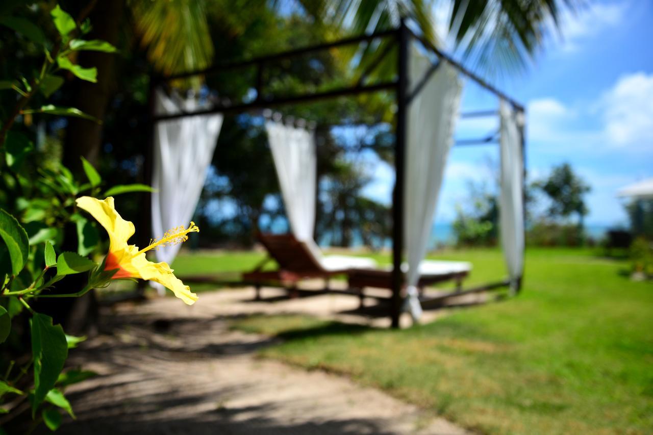 Pousada Enseada Dos Golfinhos Praia de Pipa Exterior foto